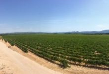 Domaine Le Grand Retour景点图片