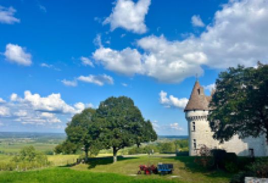 Chateau de Monbazillac景点图片