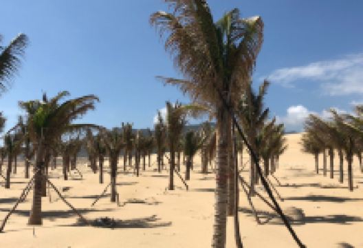 Nam Cuong Sand Dunes景点图片