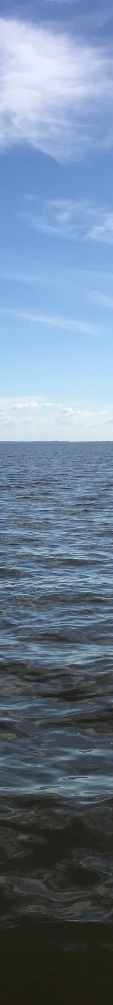 Hakaluki Haor-巴尔勒卡乌帕齐拉