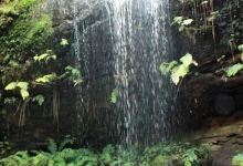 South Lawson Waterfall Circuit景点图片