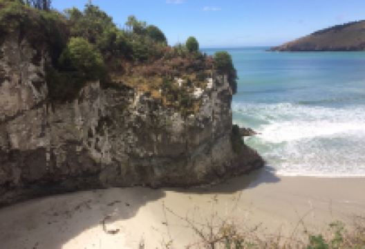 Mapoutahi Track景点图片