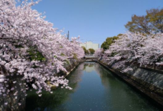 海老川景点图片