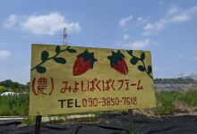 Miyoshi Pakupaku Farm景点图片