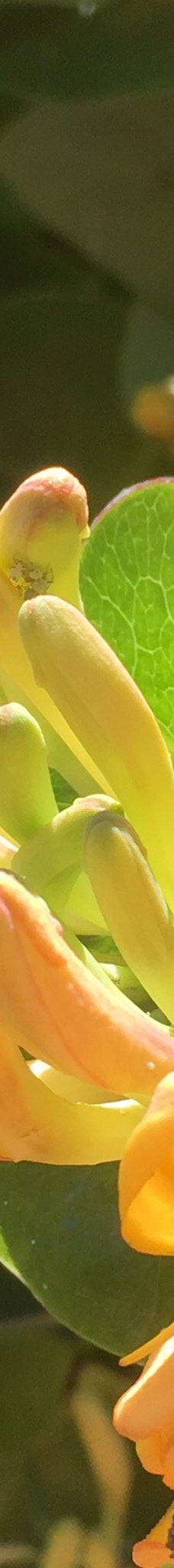 Kræmmerhuset kunsthåndværk-伦讷