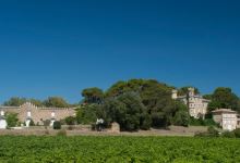 Chateau La Borie景点图片