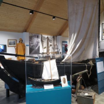 海德利桑德图片