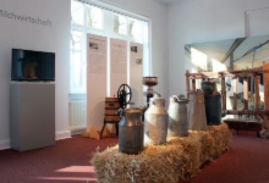 Regionalmuseum Villa Wippermann景点图片