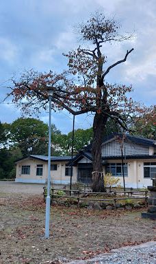 Teshikaga Shrine-弟子屈町