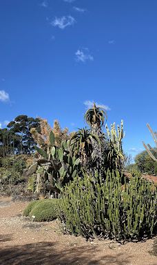 卧龙岗植物园-Keiraville