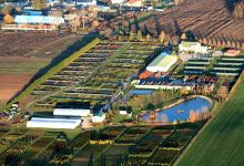 Specialmix Kertészeti Kft. - Dísznövény, Faiskola, Fenyőkéreg, Fűmag, Virágföld, Mulcs购物图片