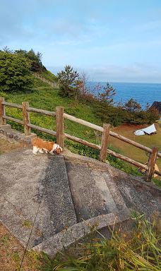 Camping Ground-仁贺保市