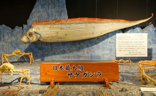 造船鄉土資料博物館