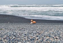 Playa Maule景点图片