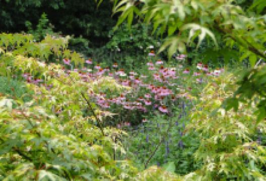 Bio-Kultura购物图片