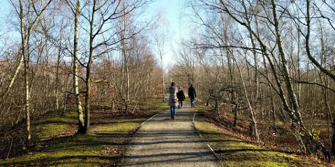 Beacon Wood Country Park