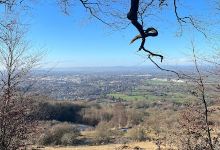 Prestbury Hill Butterfly Reserve景点图片