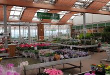 The Plantenhal Bergschenhoek购物图片