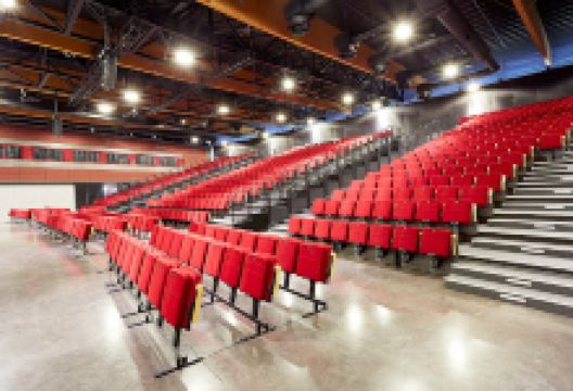 Artois Expo景点图片