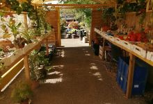 Jardinerie des Erlen购物图片