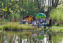 Camping De Moor景点图片
