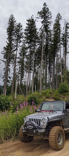 Walker Valley ORV Area-斯卡吉特县