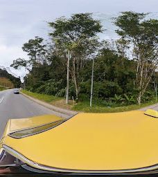 Cameron Highlands Jungle Trail No. 2-伯恩仓