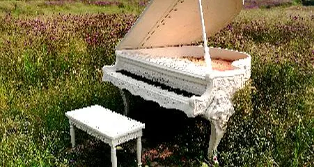 邵陽市新塘花海