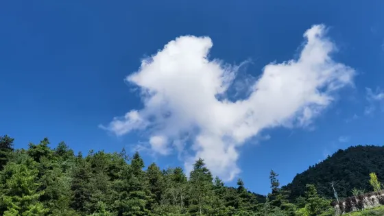 雲雨星空露營基地