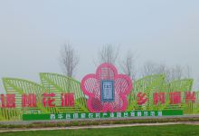 黄桥桃花园景点图片