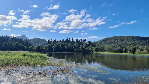 Crams Farm Reserve
