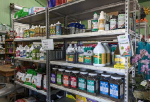 Bloomers Garden Center购物图片