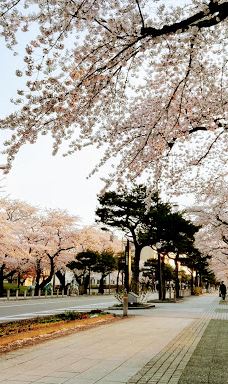 十和田市中央公园-十和田市