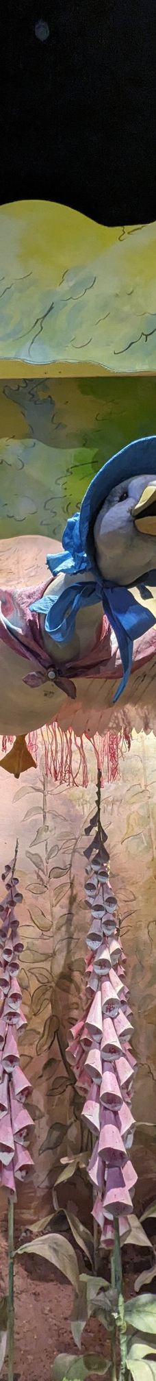 彼得兔世界-鲍内斯温德米尔