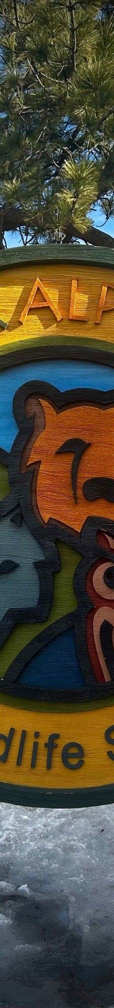 大熊湖动物园-大熊湖