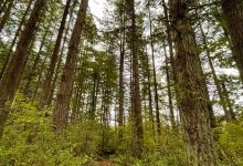 坎贝尔谷地区公园景点图片