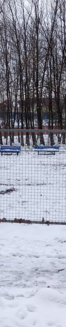 Komsomol'skiy Park-图拉