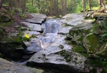 Seven Tubs Recreation Area - Pinchot Forest District景点图片