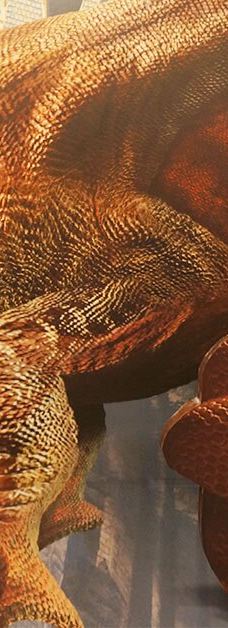 Oskarshausen-Sachsische Schweiz-Osterzgebirge