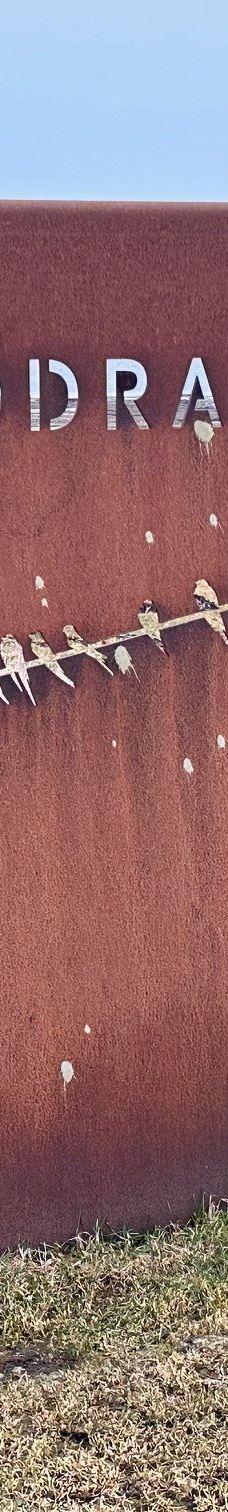 Ottenby Naturum-默尔比隆阿