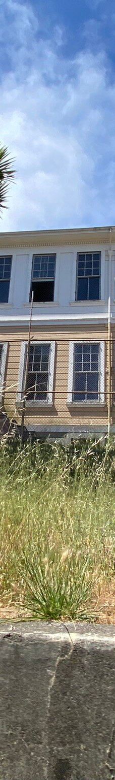 安琪儿岛-蒂伯龙