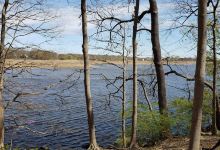 Pierce Reservation景点图片