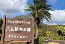 八丈植物公园景点图片