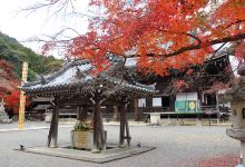 西教寺景点图片