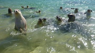 Baird Bay