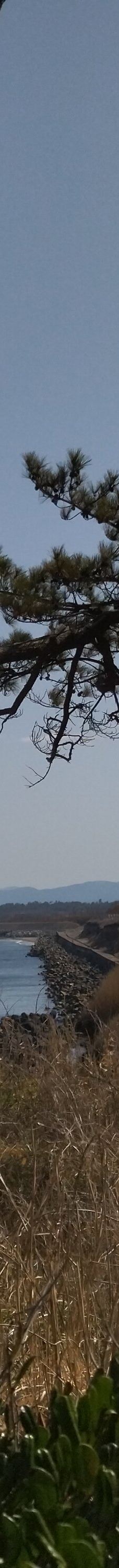 尼御前岬-加贺市