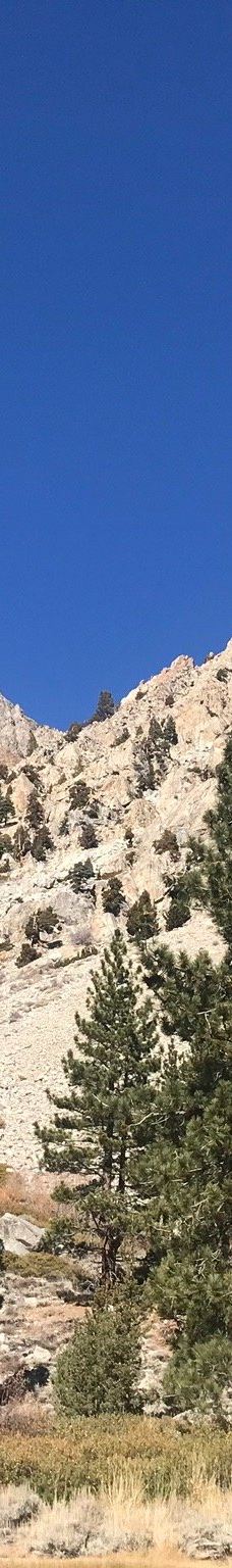 Lundy Lake-莫诺县