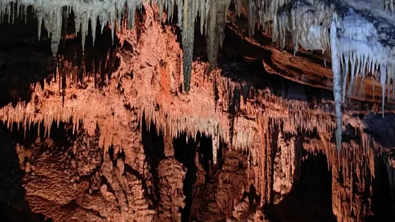 Gunns Plains Caves