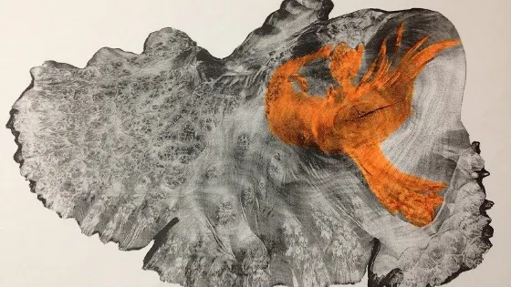 Japan,Nagano, Matsumoto Natural Art Museum Room