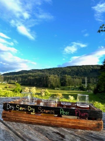 Salt Spring Wild Cider